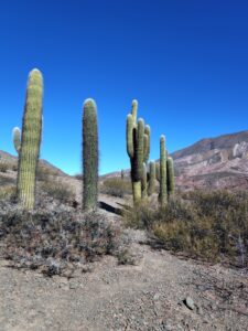 IMG_20250713_150550519_HDR